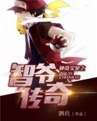 神奇宝贝之智爷小说